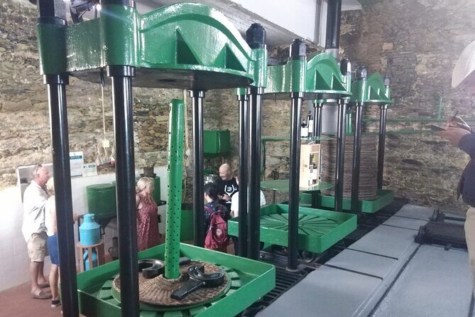 3-Hour Tour to Discover Pinhão - Moment of Discovery - Final Thoughts