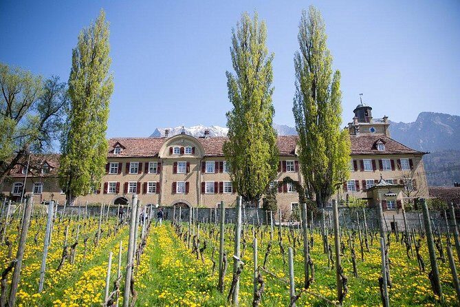 3 Hour Unique Wine Tour - Half Day in Swiss Alps - An In-Depth Look at the Swiss Wine Tour
