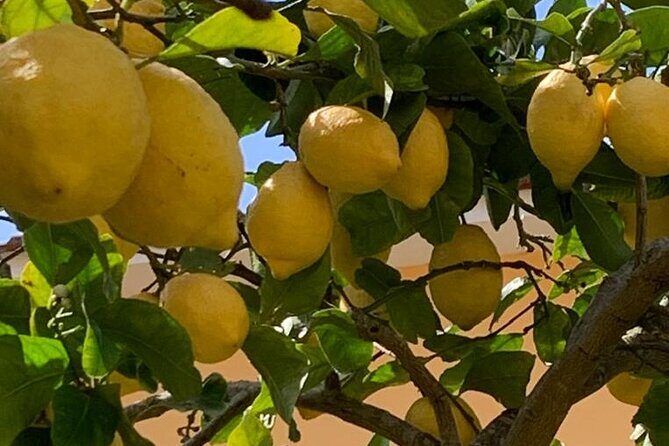 3 Hour Walking Tour of Sorrento with Local Food Tasting - FAQs