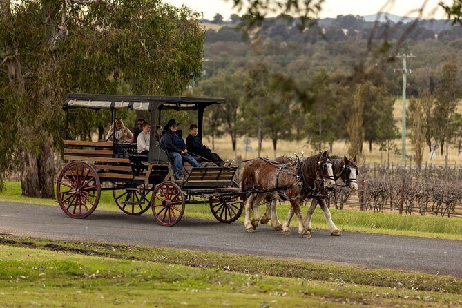 3- Hour Wine and Harvest the Hunter Horse Tour in Pokolbin - An In-Depth Look at the Experience