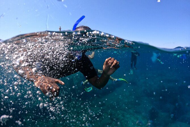 3 Hours Activities Snorkeling Villasimius Isle of Cabbage - FAQs