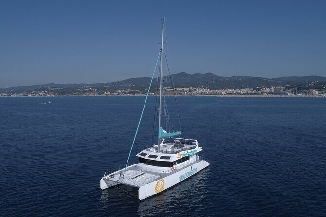 3-Hours Catamaran Tour in Malaga with Paella - What You Can Expect from the Tour