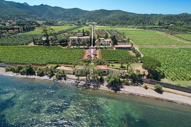 3 Hours e-bike Tour with Wine Tour at Tenuta la Chiusa - An Honest Look at the 3-Hour E-bike and Wine Tour at Tenuta la Chiusa