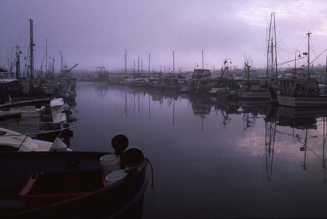 3 Hours Electric Bike Tour of Seattle's Waterways, Nature and Neighborhoods - Key Points