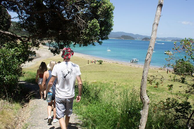 3 Hours // Hole in the Rock Cruise & Bay of Islands Tour - FAQs