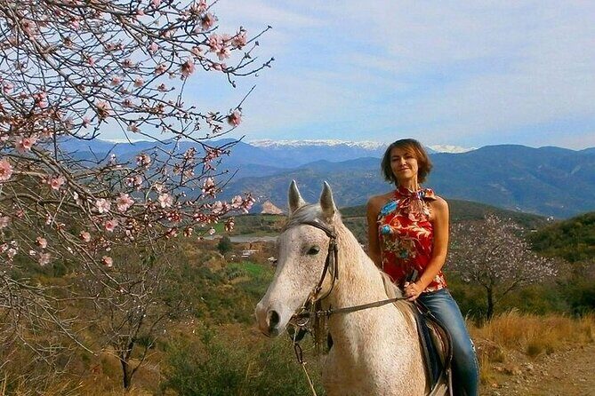 3 Hours Horse Back Riding Alanya - What We Loved and Noticed