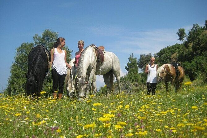 3 Hours Horse Back Riding Alanya - Who Should Consider This Tour?