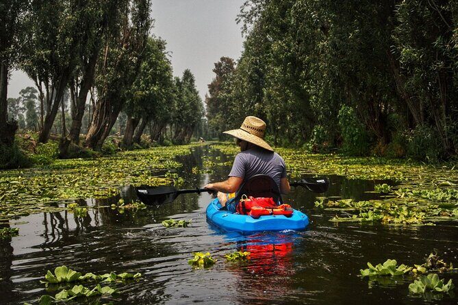 3 Hours of Kayaking at the Ancient Canals of Xochimilco - What to Expect During the Tour