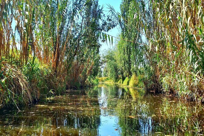 3 Hours of Kayaking at the Ancient Canals of Xochimilco - Final Thoughts: Is It Worth It?