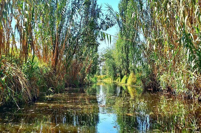 3 Hours of Kayaking at the Ancient Canals of Xochimilco - FAQs