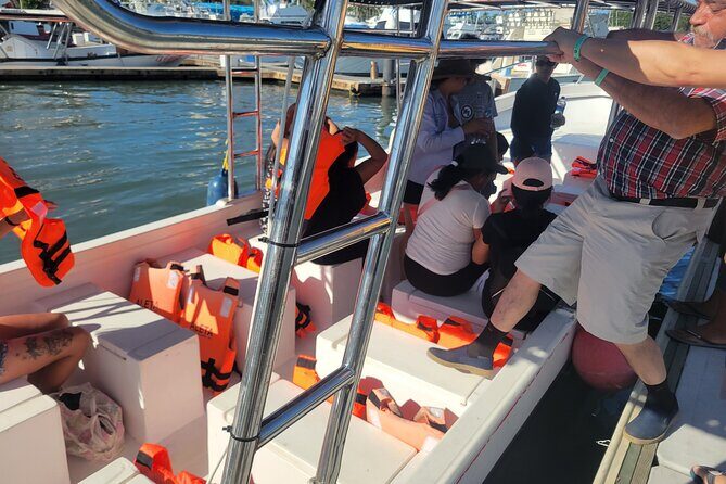 3 Hours of Whale Watching in Puerto Vallarta - Pros and Cons Based on Reviews