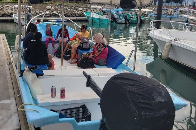 3 Hours of Whale Watching in Puerto Vallarta - Who Should Book This Tour?