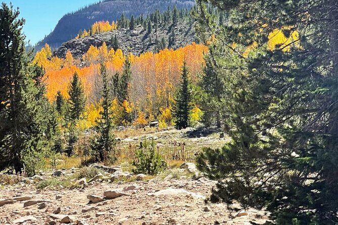 3 Hours Off-Road Adventure - What the Tour Offers: A Deep Dive