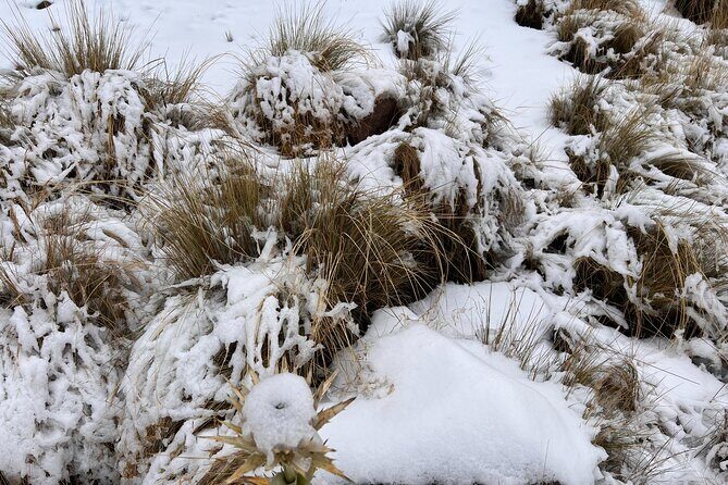 3 hours Private Hike: Mountain Nevado Toluca from Mexico city - Final Thoughts