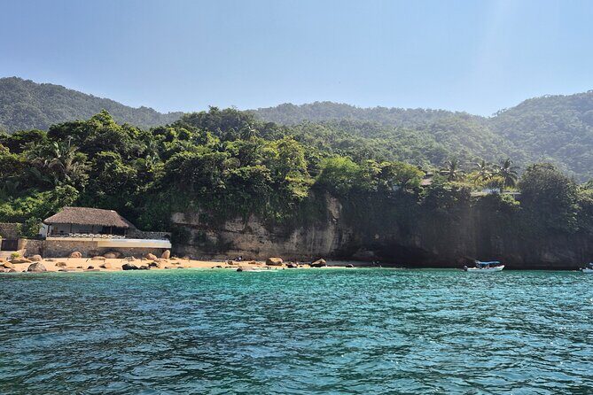 3 hours private snorkeling tour in Misaloya, Puerto Vallarta - Pricing and Value