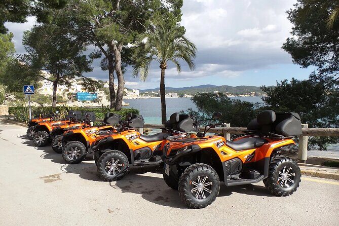 3 hours quad tour from Paguera - FAQs