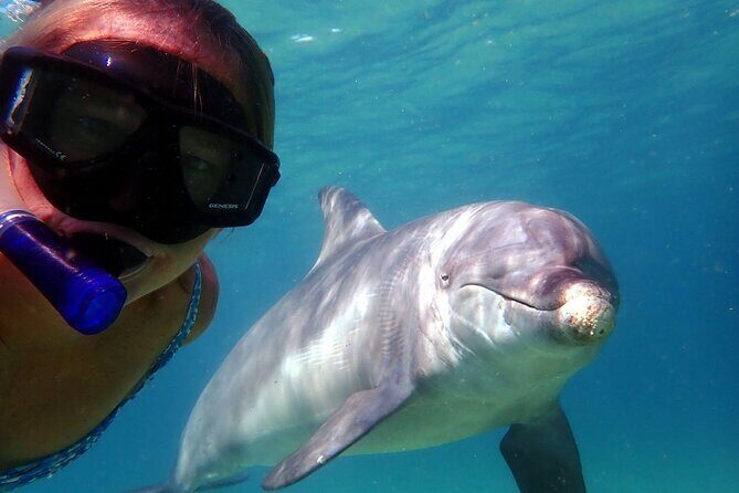 3 Hours Shell Island Experience - Pricing & Value