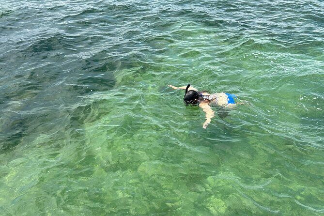 3 Hours Snorkeling Excursion in South Padre Island - Practical Details and Logistics