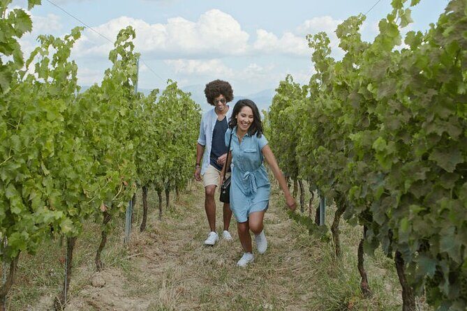 3 hours Wine Tour in Niagara-on-the-Lake - Analyzing the Value