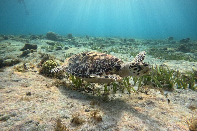 3 in 1 Jungle Tour Adventure Cancun - The Itinerary in Detail