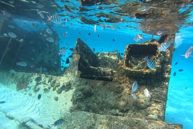 3 in 1 Jungle Tour Adventure Cancun - Final Thoughts