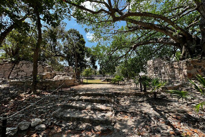 3 in 1 Snorkeling, Parasailing, with Turtle - Key Points