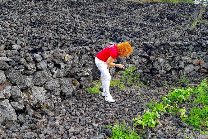 3 in 1 Tour from The Mountain to Cave with Wine - Final Thoughts