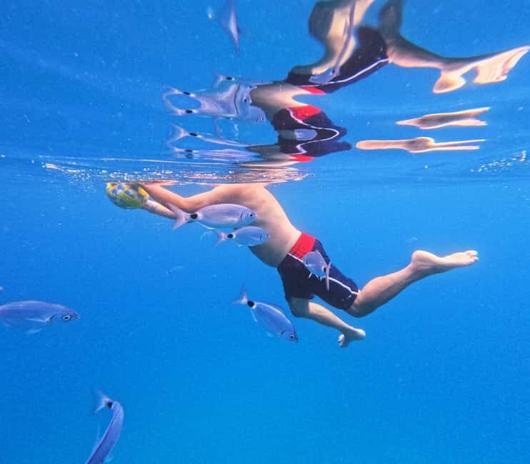 3 Islands Speedboat Tour: Golden Horn, Blue Lagoon & Jelsa - Who Will Love This Tour?