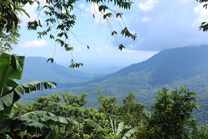 3 Levels of Huatulco the coffee you've been looking for - Frequently Asked Questions