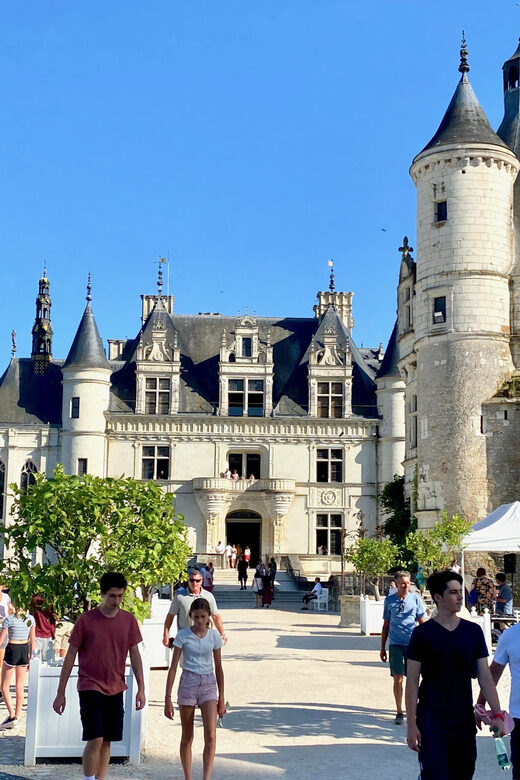 3 Loire Castles Live Guided Small group by minivan Winery - Who Should Consider This Tour?