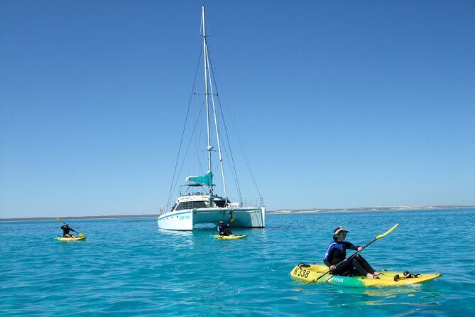 3 Night Ningaloo Reef Snorkel and Dive Getaway from Coral Bay - Final Thoughts