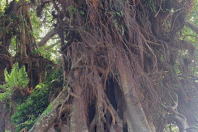 3 Nights Stay in Tanna including Accommodation, meals & transfers - Who Is This Tour Best Suited For?