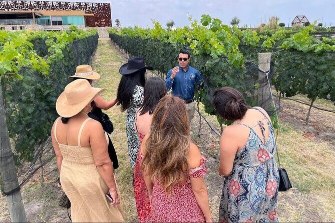 3 or 5 Course Menu + Wine Pairing + Tour @Local Winery - An In-Depth Look at Whats Included