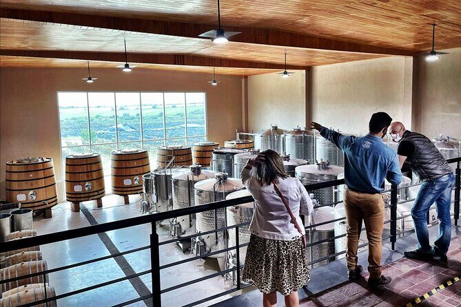 3 or 5 Course Menu + Wine Pairing + Tour @Local Winery - Who Is This Tour Best For?