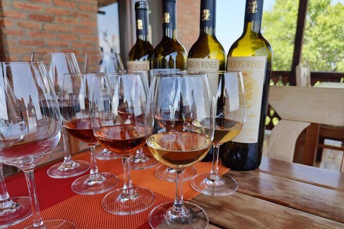 3 Organic Wineries Private Day Trip to Wine Province With Lunch and Tastings - Who Should Consider This Tour?