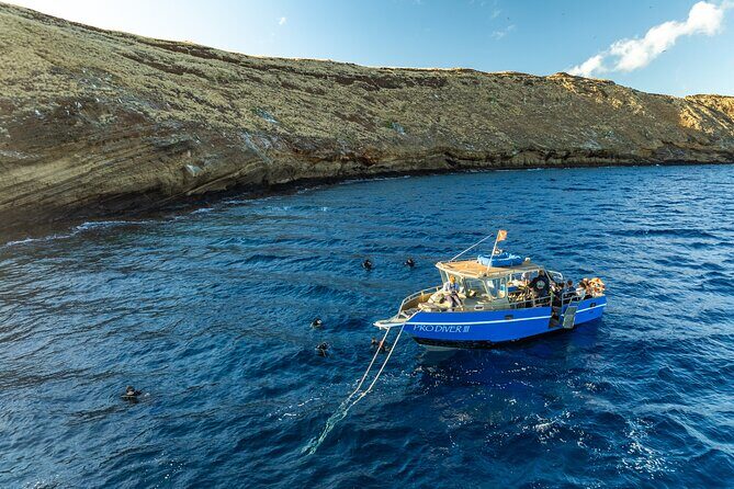 3-Tank Dive Featuring the Molokini Crater - What to Expect from the 3-Tank Dive Adventure