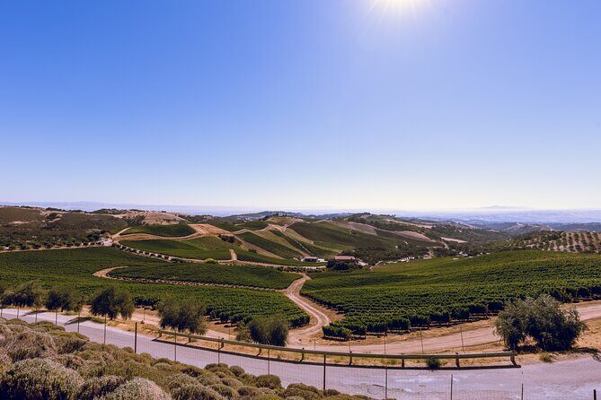 3-Winery Tour Includes Lunch from Paso Robles & Atascadero - What to Expect from the Tour