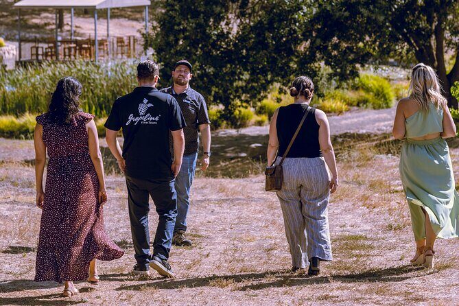 3-Winery Tour Includes Lunch from Santa Ynez/Solvang/Buellton - Exploring the Santa Ynez Valley with the 3-Winery Tour Including Lunch