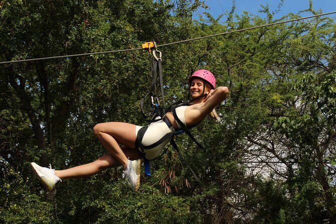 3 Ziplines & Dolphin Watching Snorkel Adventure - Introducing the Tour: What to Expect from Start to Finish
