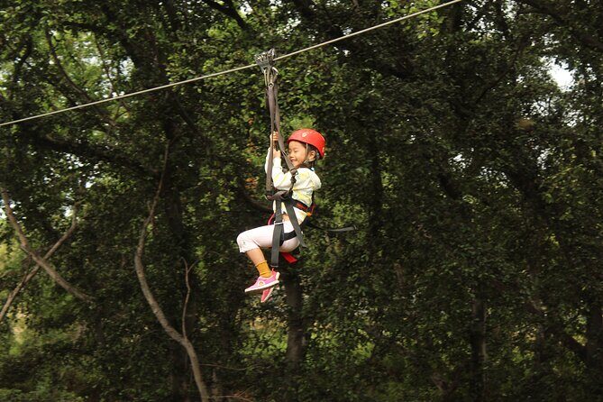 3 Ziplines & Dolphin Watching Snorkel Adventure - Who Should Consider This Tour?