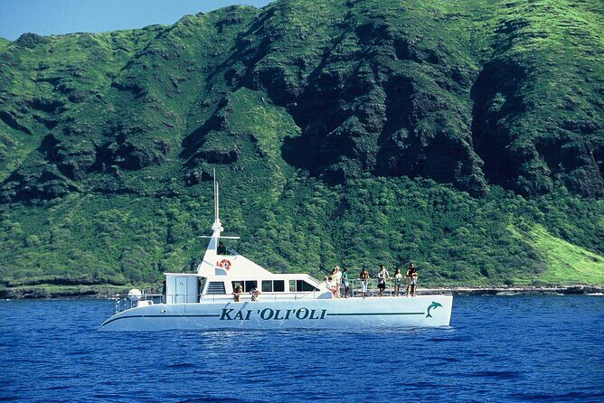 3 Ziplines & Dolphin Watching Snorkel Adventure - Final Thoughts: Is This Tour Right for You?