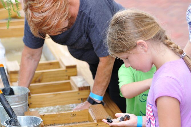 30-Minute Airboat Ride, Lunch, Gem Mining and Park Admission - Practical Tips for Your Visit