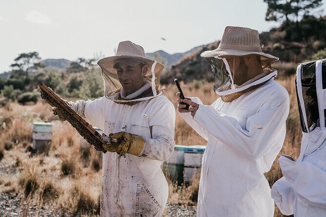 30-Minute Guided Honey Tasting Activity in Melini - What to Expect from the Honey Tasting Tour in Melini