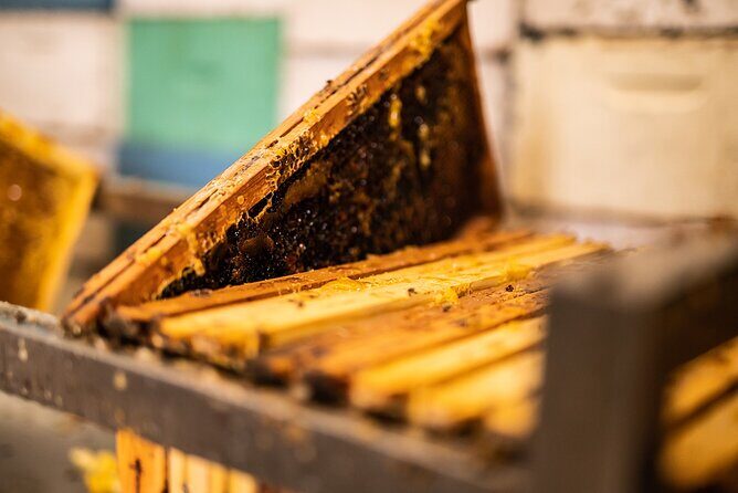 30-Minute Guided Honey Tasting Activity in Melini - The Group Size and Accessibility