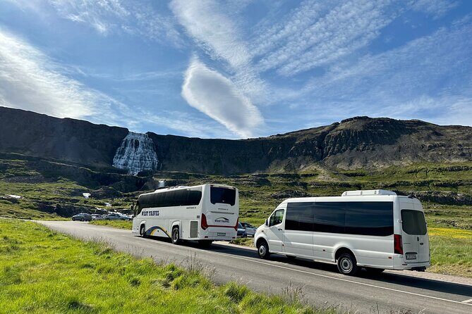 3,5-Hour Sightseeing Tour To Dynjandi Waterfall - A Deep Dive into the Experience