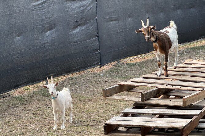 3D Printer Factory Tour plus 2 ft Tall Rocket! - What Reviewers Say