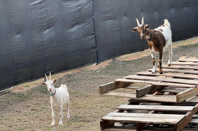 3D Printer Factory Tour plus 2 ft Tall Rocket! - FAQ