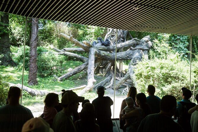 3Days New York City Tour With Professional Photographer - The Bottom Line: Who Should Consider This Tour?