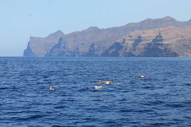 3h Boat Trip + Snorkeling in Puerto de Mogan - Final Thoughts