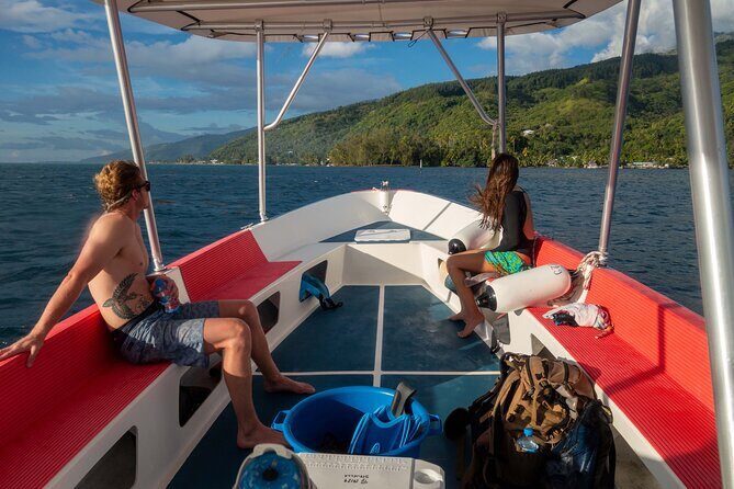 3h dolphin and snorkeling tour in a wild lagoon with Mobydick - FAQ